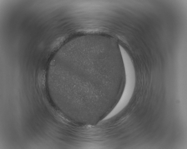 X0000054460495200508121941