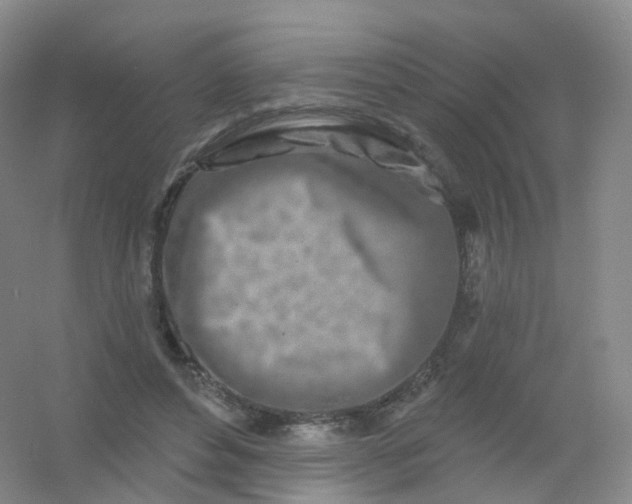 X0000054460496200508121941