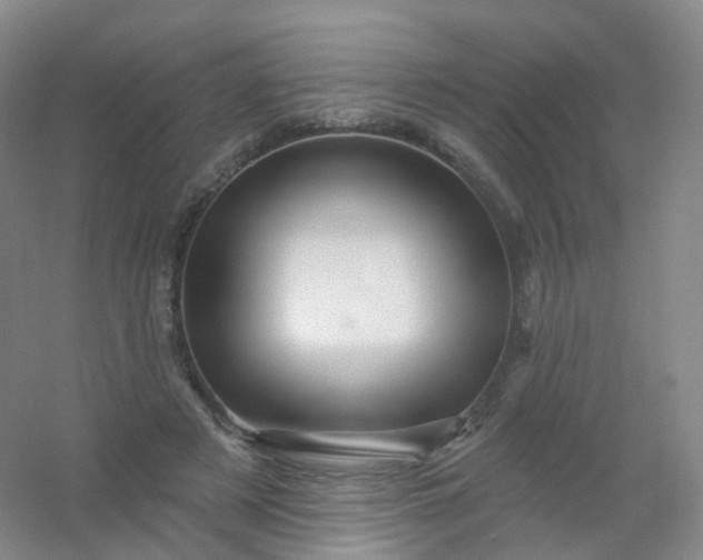 X0000054460497200508121941