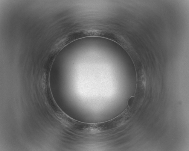 X0000054460498200508121941