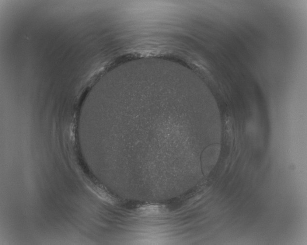 X0000054460499200508121941