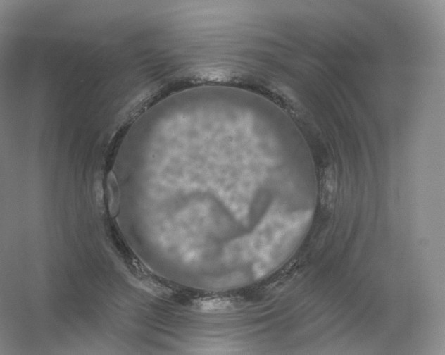 X0000054460500200508121941