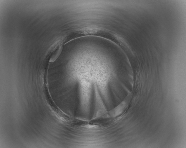 X0000054460501200508121941