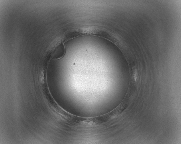 X0000054460502200508121941