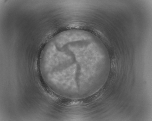 X0000054460504200508121941