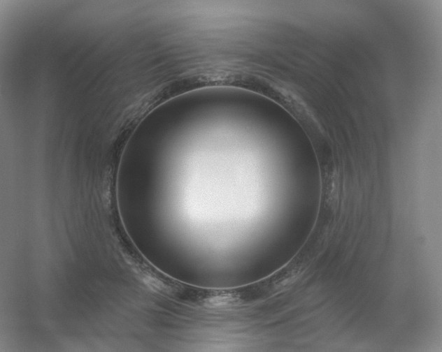 X0000054460505200508121941