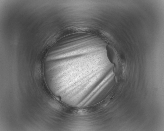 X0000054460506200508121941