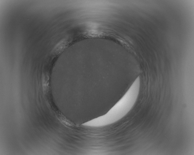 X0000054460507200508121941