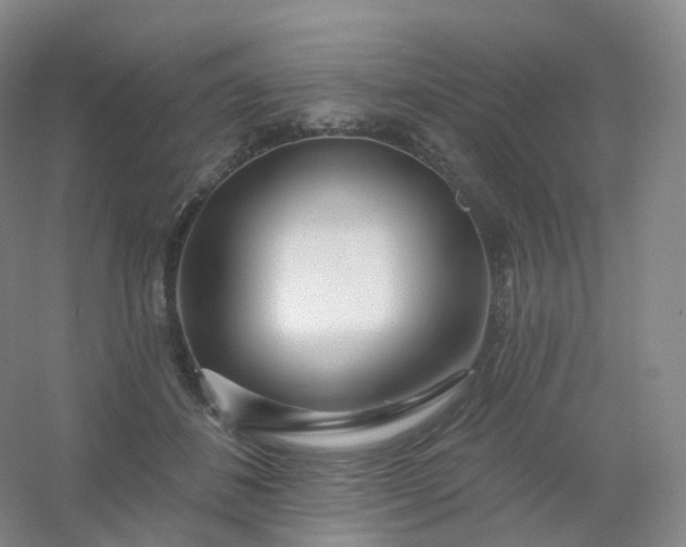 X0000054460508200508121941