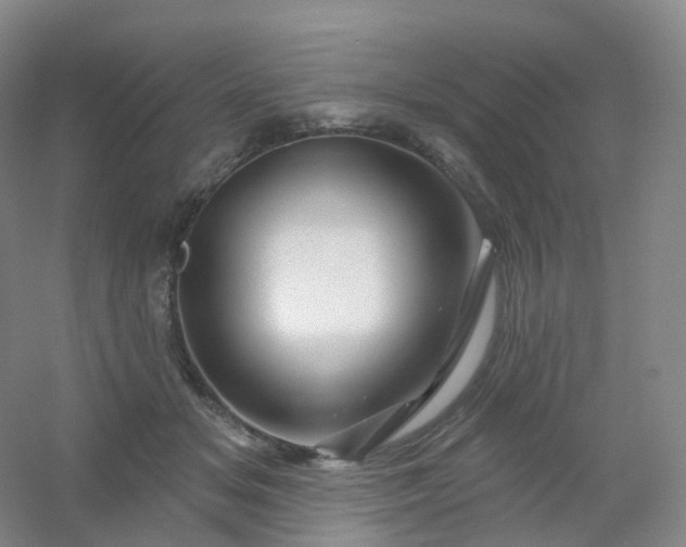 X0000054460509200508121941