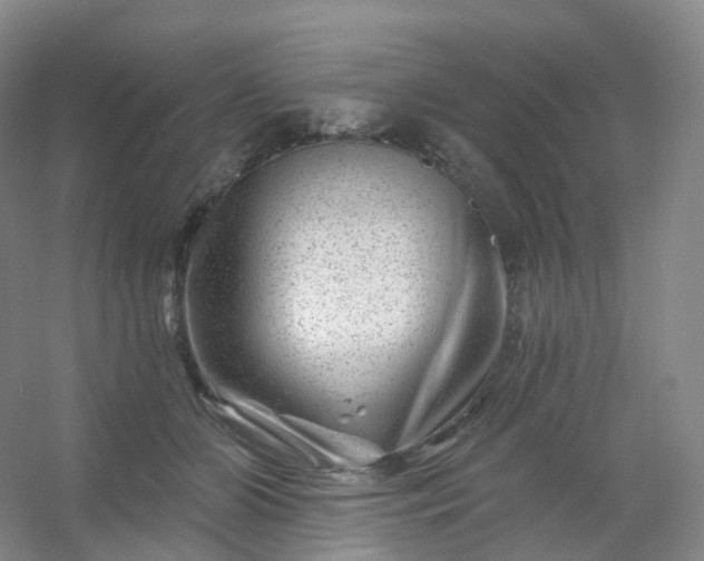 X0000054460510200508121941