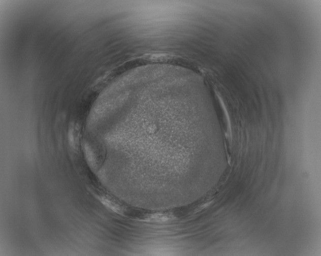 X0000054460511200508121941