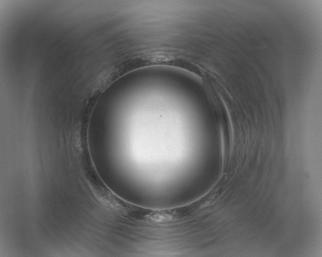 X0000054460512200508121941