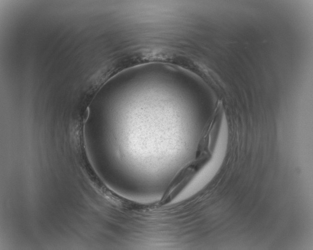 X0000054460513200508121941