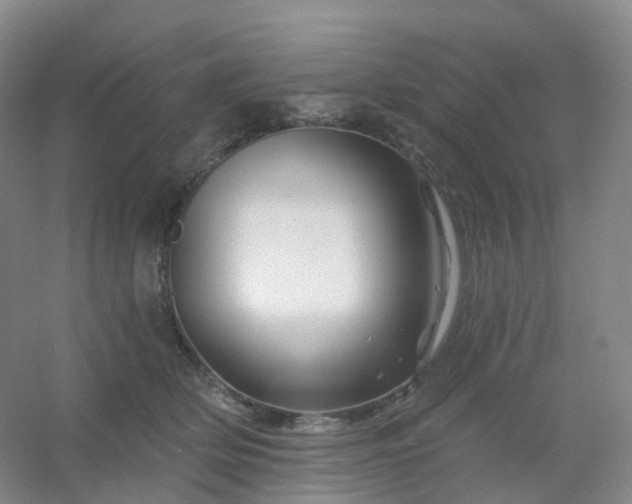 X0000054460514200508121941