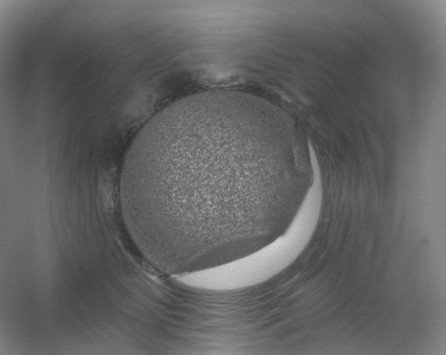 X0000054460515200508121941