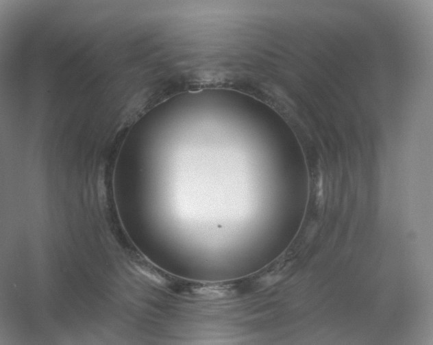 X0000054460516200508121941