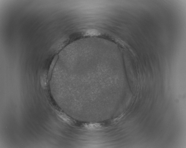 X0000054460517200508121941