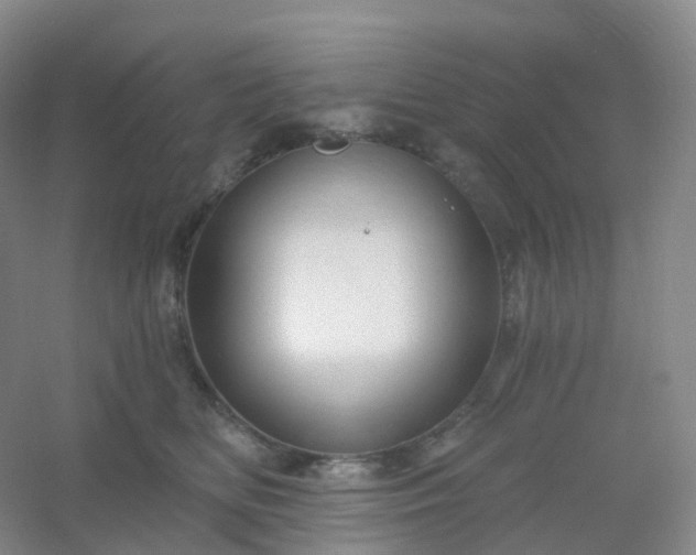 X0000054460518200508121940