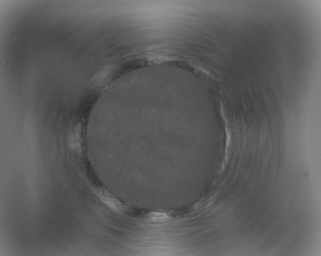 X0000054460519200508121940