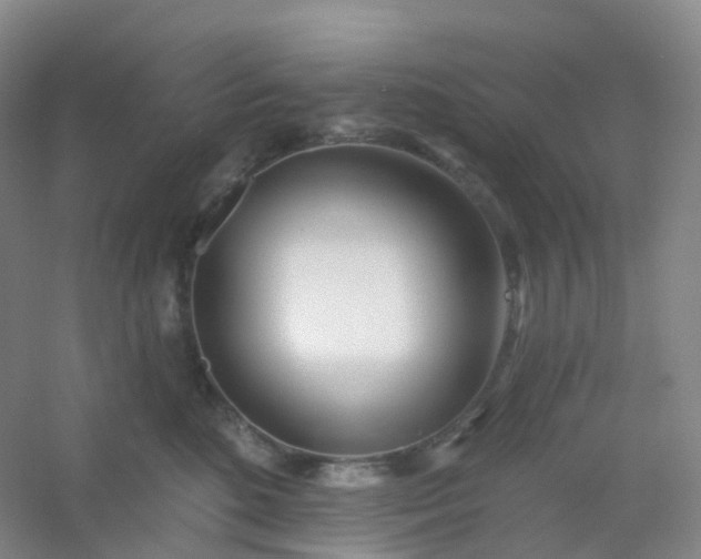 X0000054460520200508121940