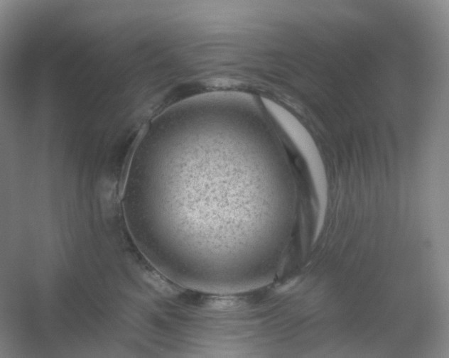 X0000054460521200508121940