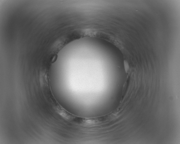 X0000054460522200508121940