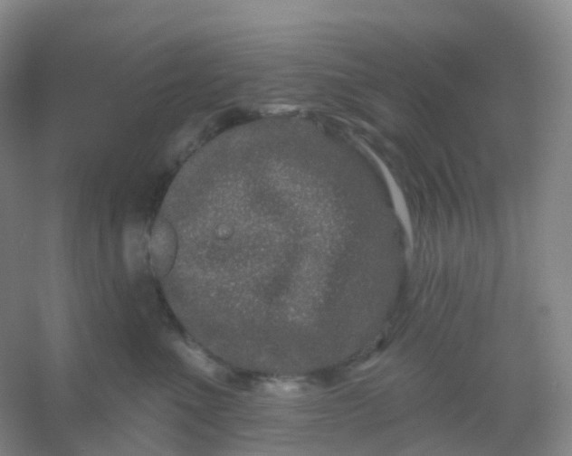 X0000054460523200508121940