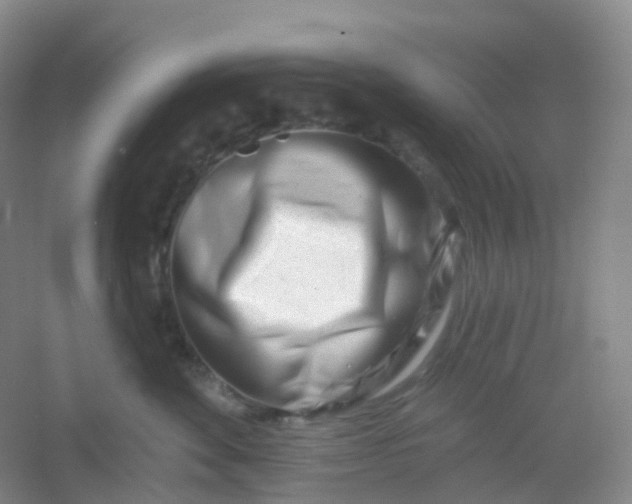 X0000054460524200508121940