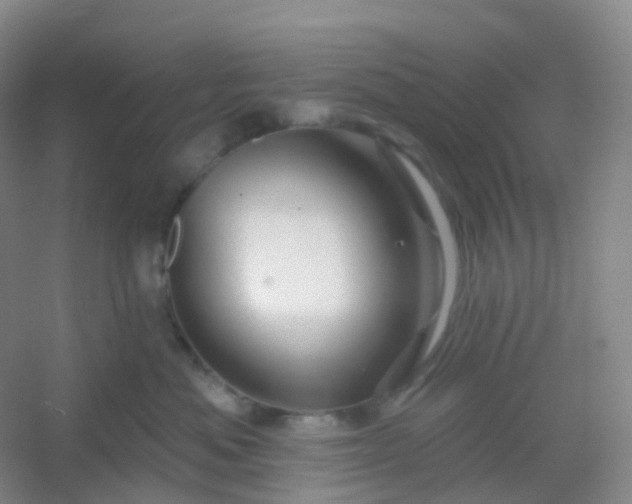 X0000054460525200508121940