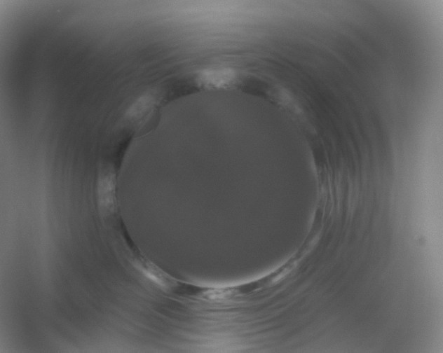 X0000054460526200508121940