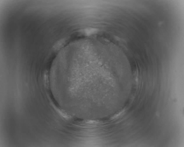 X0000054460527200508121940