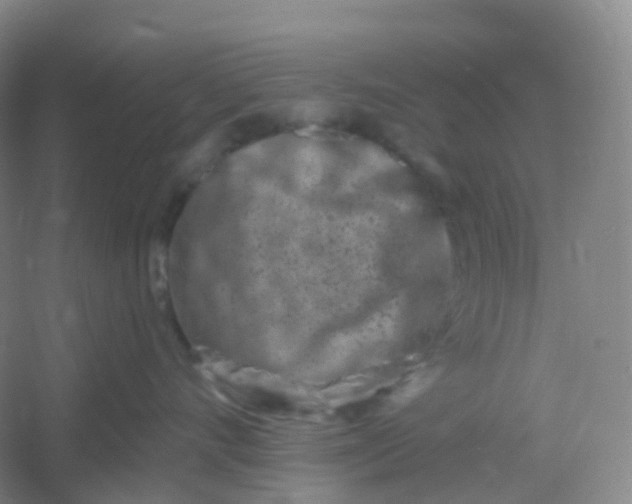 X0000054460528200508121940