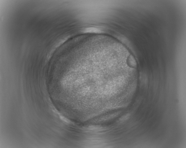 X0000054460529200508121939