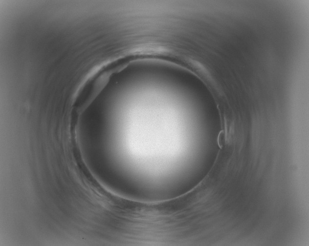 X0000054460531200508121940