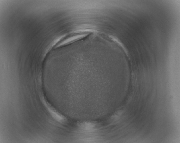 X0000054460533200508121940