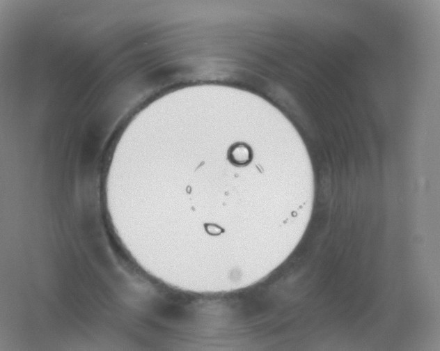 X0000054460534200508121940