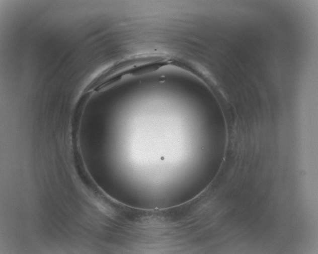 X0000054460535200508121940