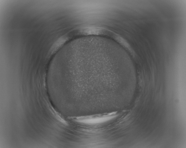 X0000054460537200508121940