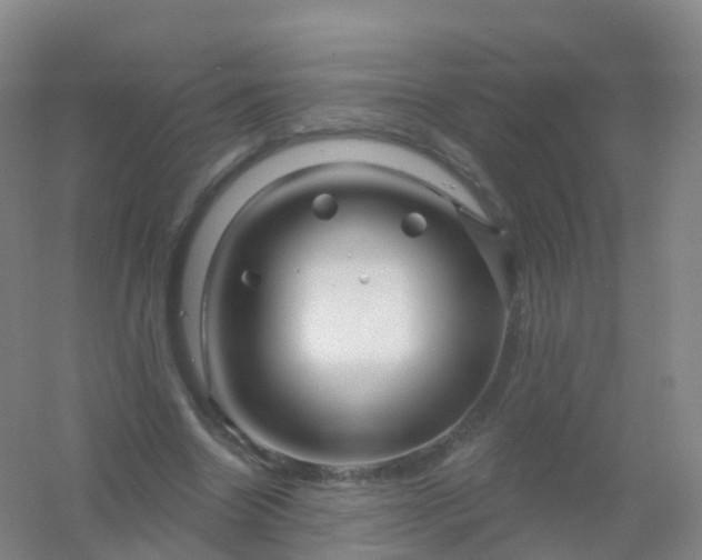 X0000054460538200508121940