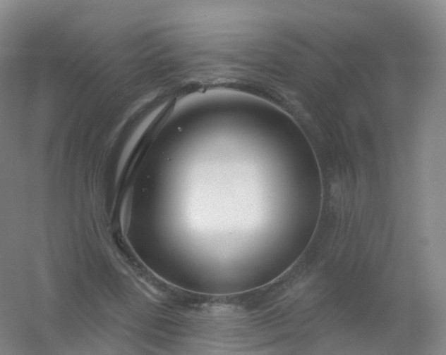 X0000054460539200508121940