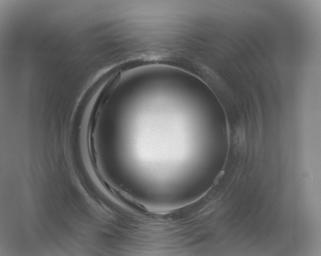 X0000054460540200508121940