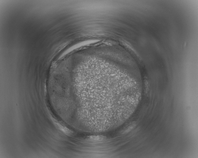 X0000054460541200508121940