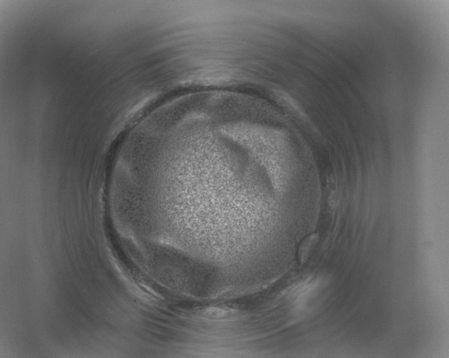 X0000054460542200508121940