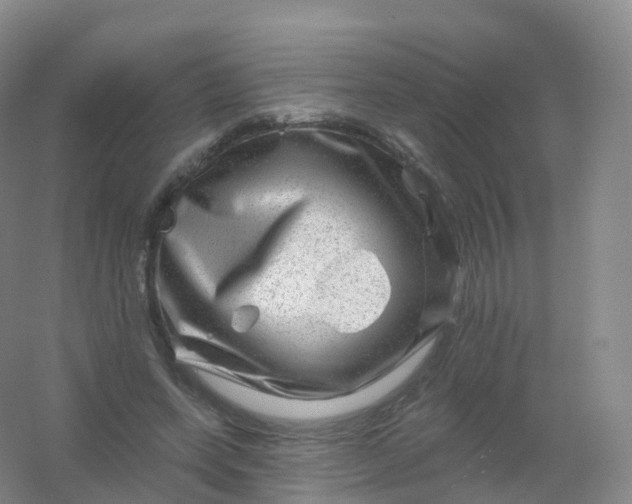 X0000054460543200508121940