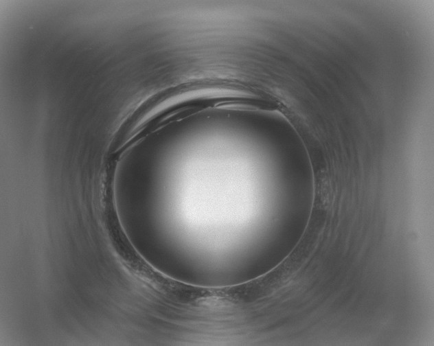 X0000054460544200508121940