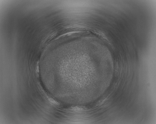 X0000054460545200508121940