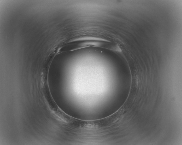 X0000054460546200508121940