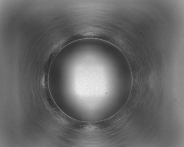 X0000054460547200508121940