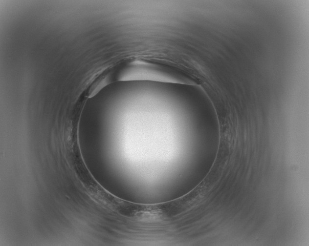 X0000054460548200508121940